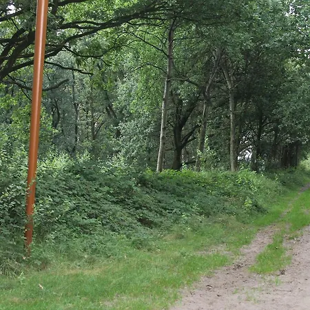 Деревянный коттедж Buitengewoon Overnachten Terheijden
