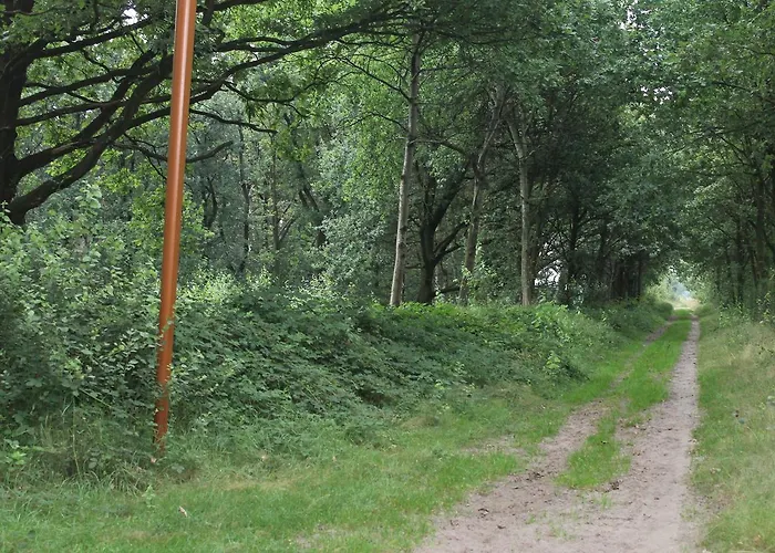 Lodge Buitengewoon Overnachten Terheijden