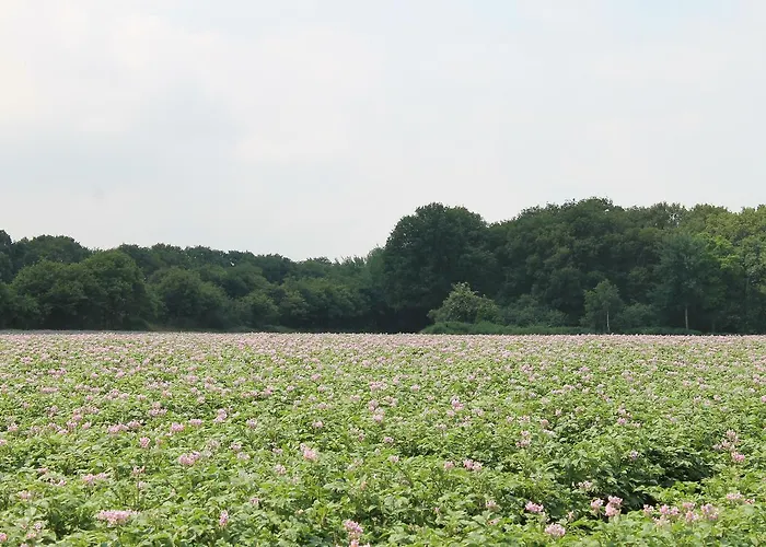 Lodge Buitengewoon Overnachten Terheijden
