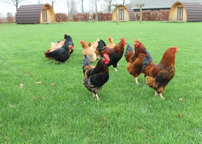 Lodge Buitengewoon Overnachten