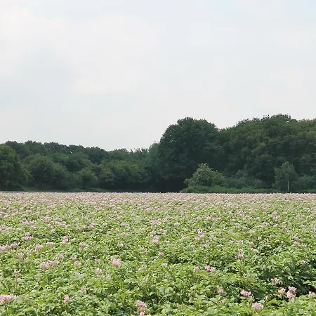 롯지 Buitengewoon Overnachten Terheijden