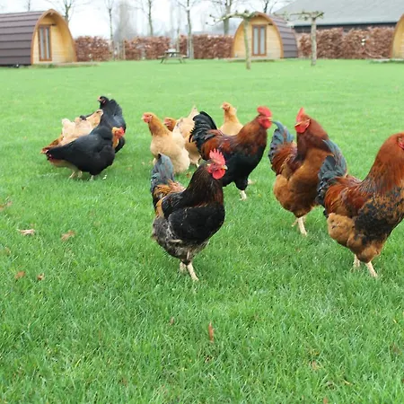 롯지 Buitengewoon Overnachten