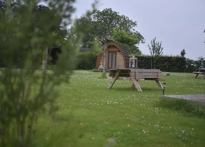 Buitengewoon Overnachten ロッジ